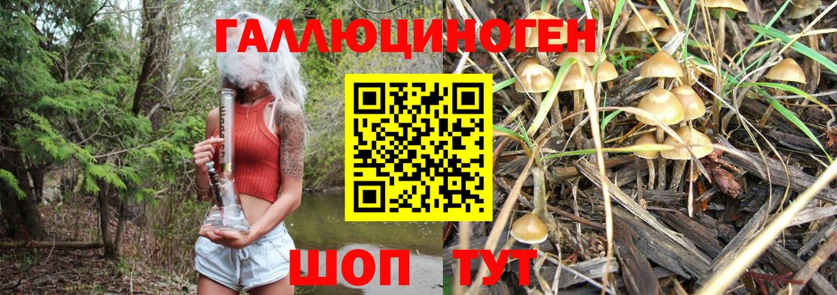 Галлюциногенные грибы MAGIC MUSHROOMS  Вход с VPN  Чебоксары 